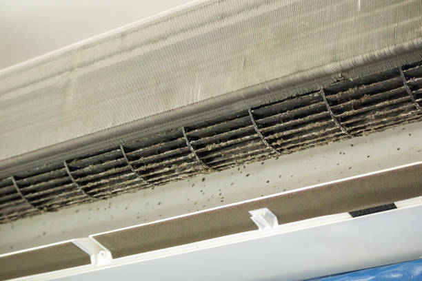 Best HVAC Air Duct Cleaning  in Abbeville, LA
